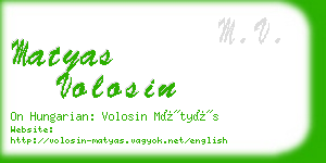 matyas volosin business card